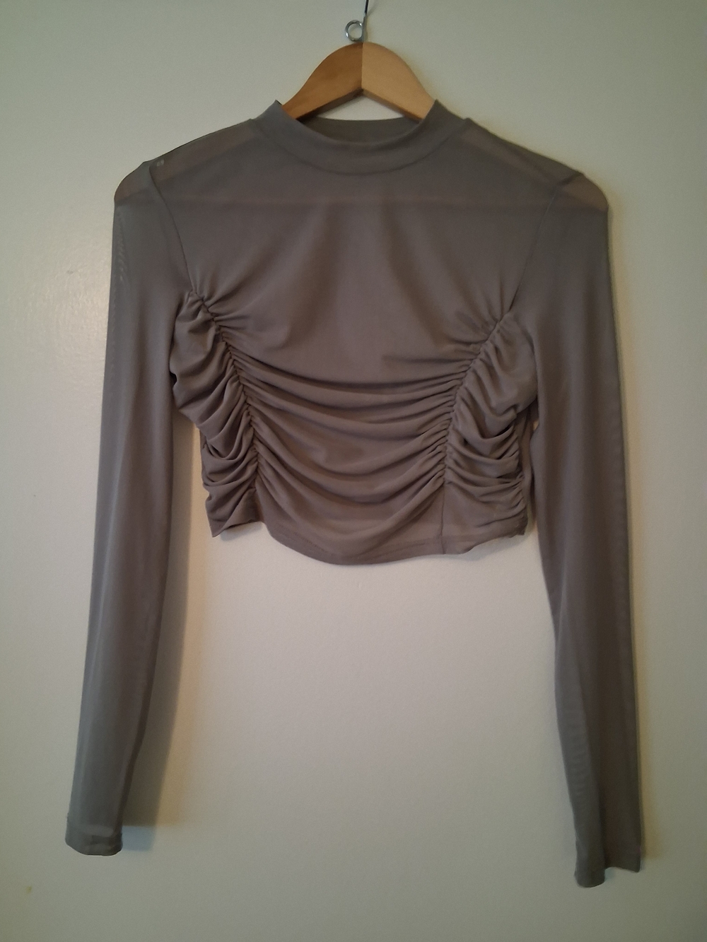 Sheer Ruched Long Sleeve Crop Top - Gray/taupe